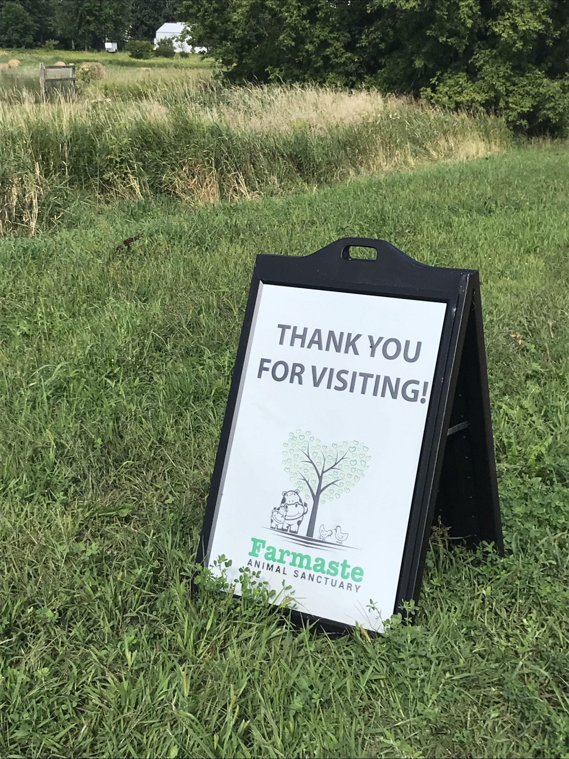 2022 Farmaste Sanctuary Tour Creates Bonds Across Species ...