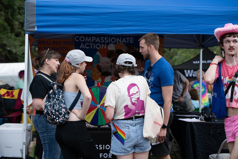 Games and Video Outreach at Twin Cities Pride « Compassionate Action